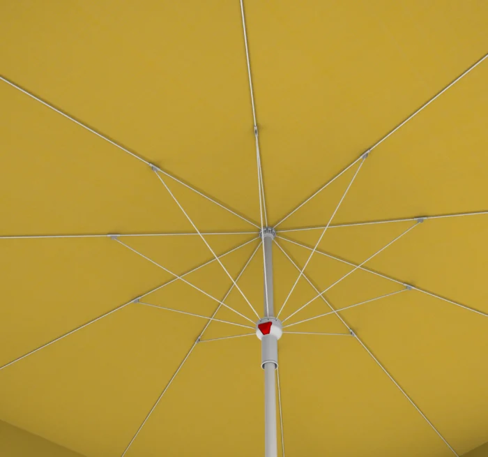 Solea Plus - Görsel 2